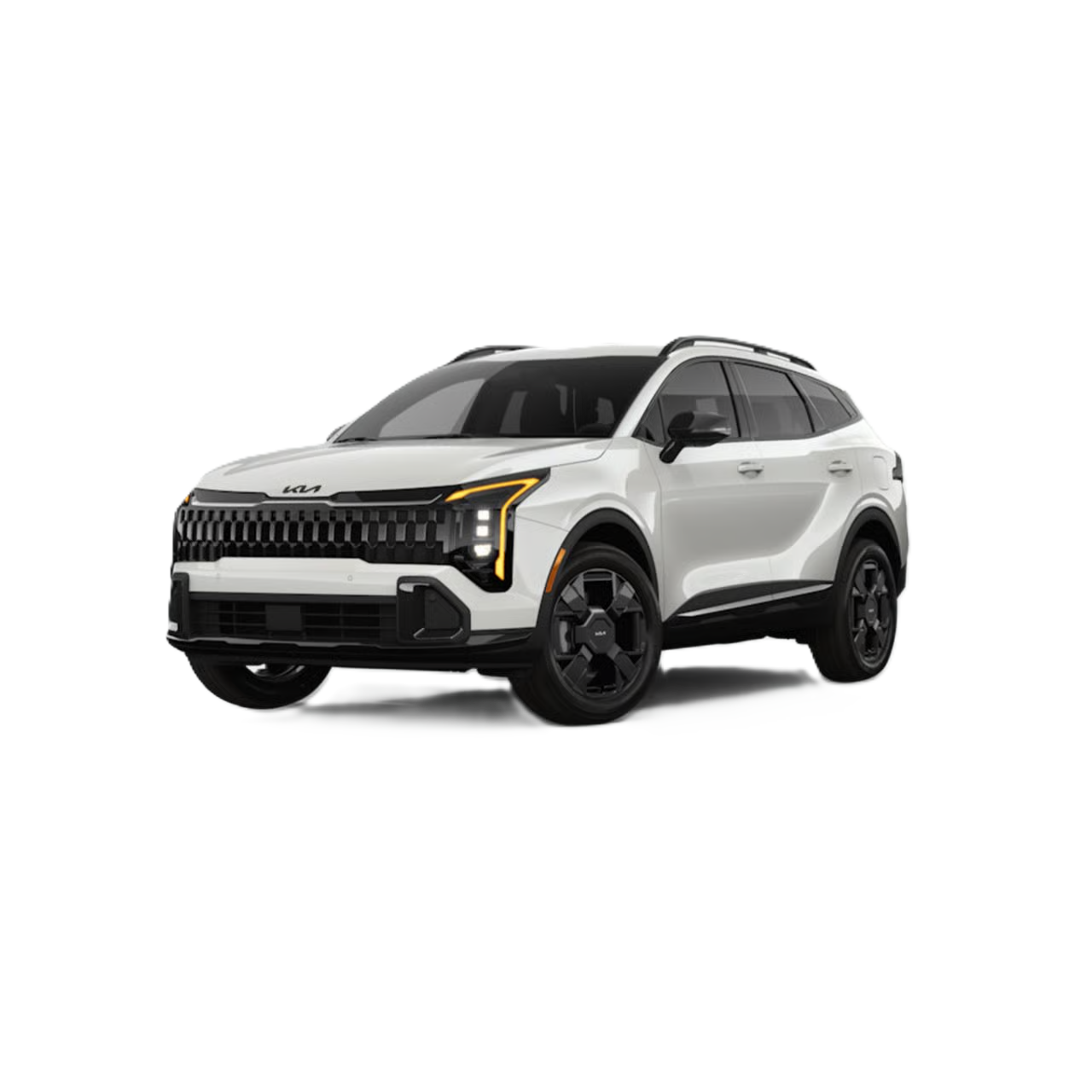 Noleggio a lungo termine di Kia Sportage 1.6 crdi mhev Business dct