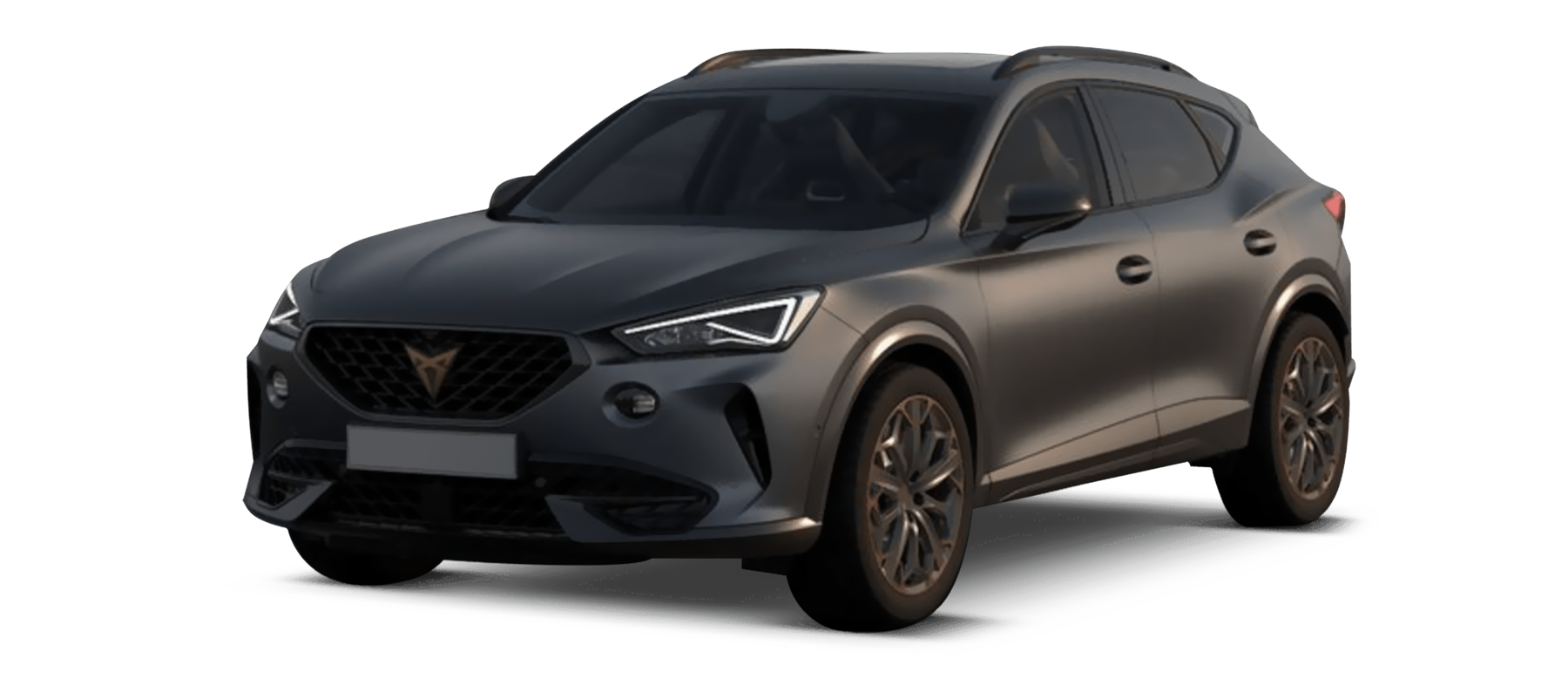 Noleggio a lungo termine di Cupra Formentor 2.0 tdi 150cv dsg