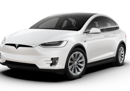 Tesla Model X Elettrica 100 kWh Dual Motor 4WD aut
