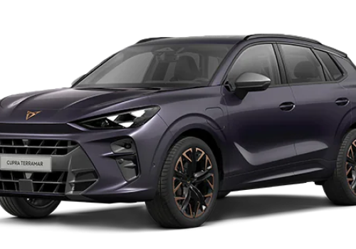 Cupra Terramar 1.5 hybrid 150cv dsg