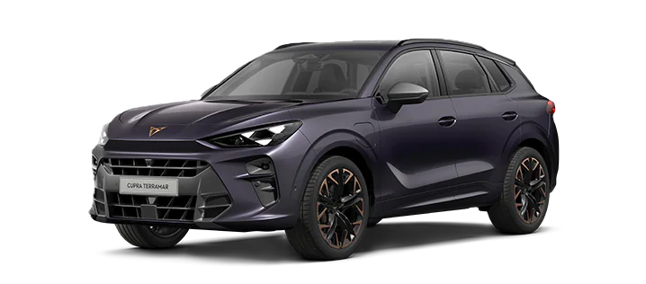 Noleggio a lungo termine di Cupra Terramar 1.5 hybrid 150cv dsg