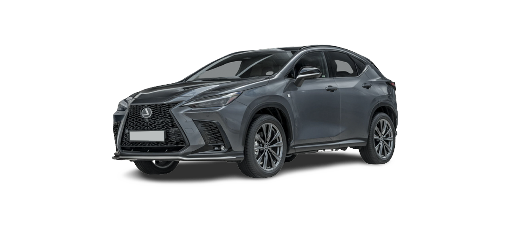 Noleggio a lungo termine di Lexus NX Ibrida Hybrid Premium 2WD